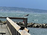 IMG_0053.jpeg