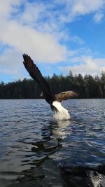 VideoCapture_20241216-065334.jpg