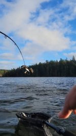 VideoCapture_20241216-065506.jpg
