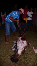 Machete filleted.jpg