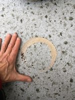 IMG_3690.jpeg
