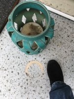 IMG_3687.jpeg