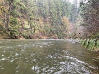 IMG_4040.jpeg