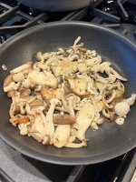 IMG_5692.jpeg IMG_5692.jpeg