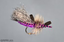 DSC_0194 - edit 1.jpg