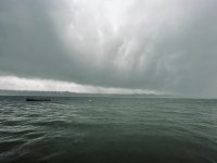 IMG_9988.jpeg IMG_9988.jpeg