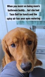 IMG_1435.jpeg