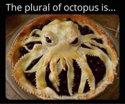 1734883914813.png