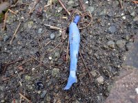 IMG_0149.jpeg