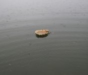 IMG_0145.jpeg