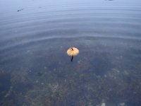IMG_0137.jpeg