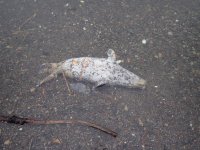 IMG_0147.jpeg