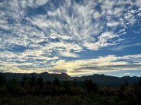 IMG_2572.jpeg