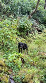 IMG_1284.jpeg IMG_1284.jpeg