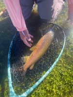 IMG_9240.jpeg