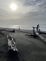 IMG_4641.jpeg