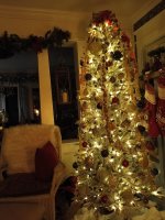 IMG_20241223_210947716.jpg