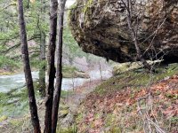 IMG_4064.jpeg