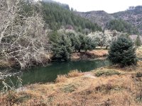 IMG_4051.jpeg