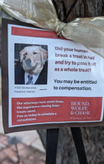 1735058204683.png