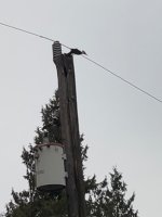 IMG_3250.jpeg IMG_3250.jpeg