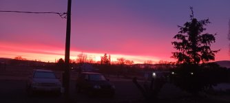 20241225_072644.jpg