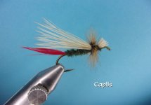 Caplis.jpg