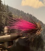 IMG_4070.jpeg