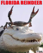 1735180240624.png