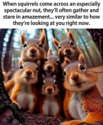1735184597756.png