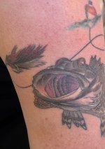 IMG_7260.jpeg