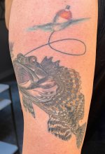 IMG_7261.jpeg