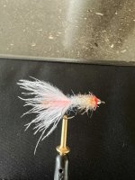 IMG_5729.jpeg