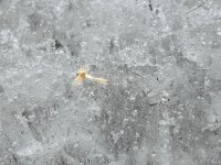 IMG_3165.jpeg