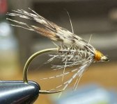 IMG_1294.jpeg