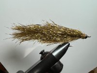 IMG_0194.jpeg