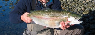 dinner trout.jpg
