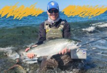 Beach Coho (2024).jpg Beach Coho (2024).jpg