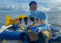 Black-Saddled Coral Grouper (April 2024).jpg Black-Saddled Coral Grouper (April 2024).jpg