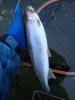 IMG_0259.jpeg IMG_0259.jpeg