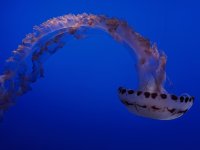 IMG_2210.jpeg