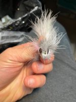 IMG_8323.jpeg
