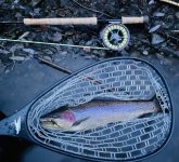 IMG_0228.jpg