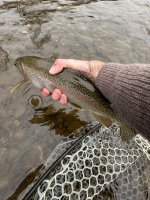IMG_1436.jpeg