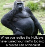 1735724349072.png 1735724349072.png
