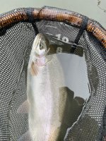 IMG_4749.jpg