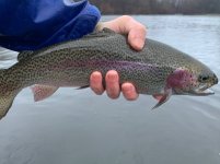 IMG_4840.jpeg