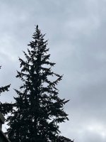 IMG_3287.jpeg