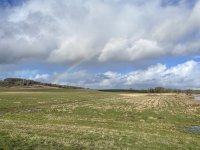 IMG_4087.jpeg