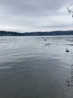 IMG_7766.jpeg IMG_7766.jpeg